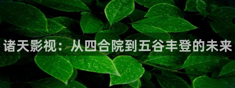 那年花开月正圆星辰影院