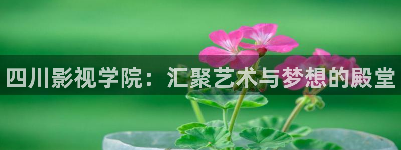 《抓娃娃》免费播放星辰影院